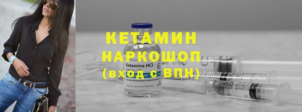 стафф Новозыбков