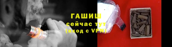 стафф Новозыбков
