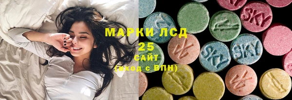 стафф Новозыбков