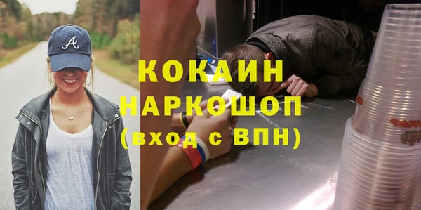 стафф Новозыбков