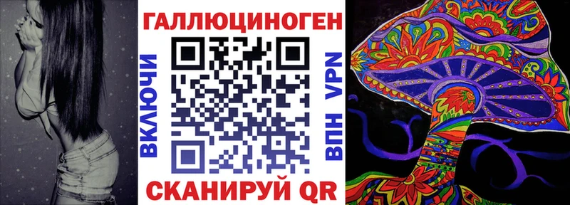 мориарти клад даркнет сайт Черемхово Галлюциногенные грибы Psilocybe